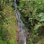 BOlimpia_Cascada