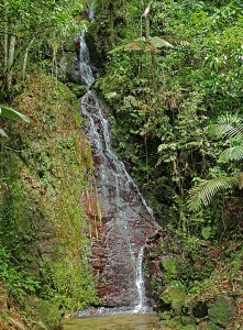 BOlimpia_Cascada