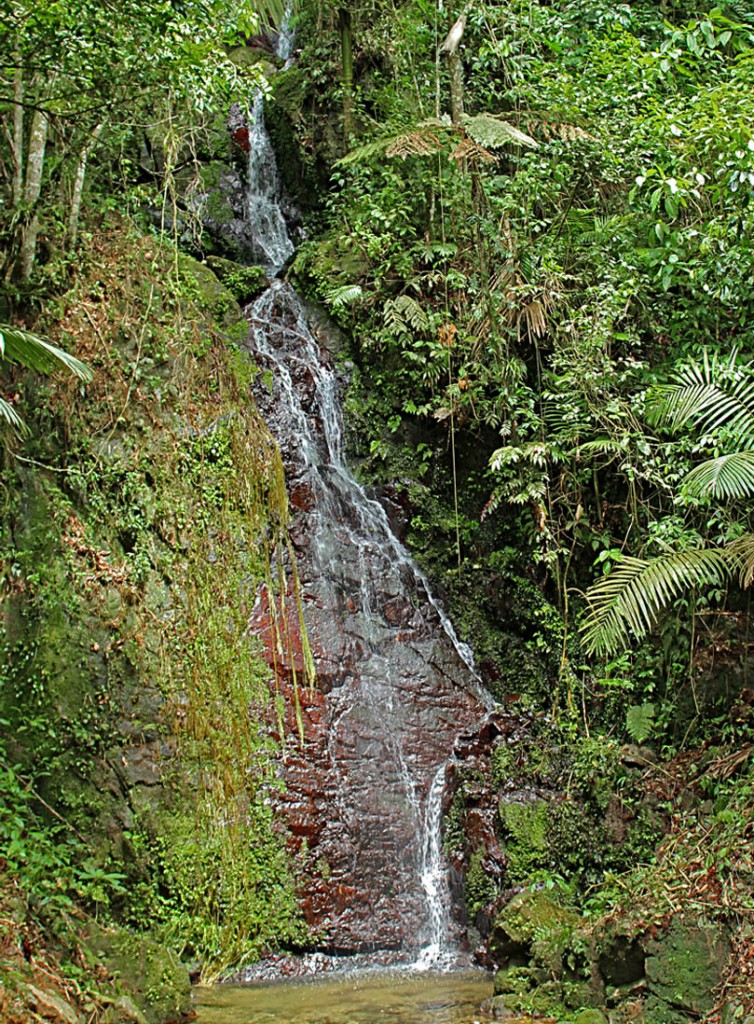 BOlimpia_Cascada