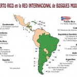 BosqueModelo_Mapa